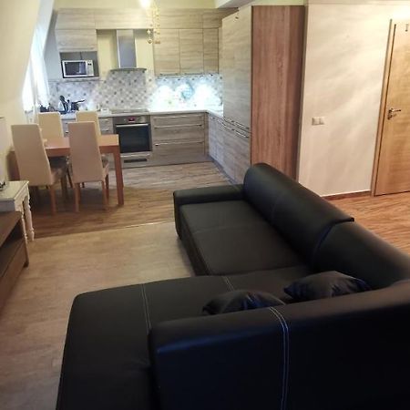 Hezky Byt U Hotela Thermal V Karlovych Varech Karlovy Vary Kültér fotó